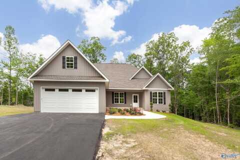 2434 Timberlake Drive, Southside, AL 35907