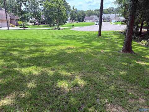 Lot 22 Paradise Place, Scottsboro, AL 35769