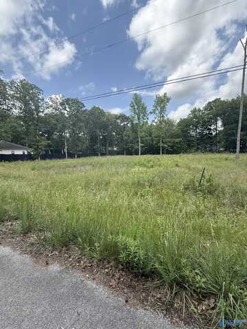 28447 Jessica Drive, Toney, AL 35773