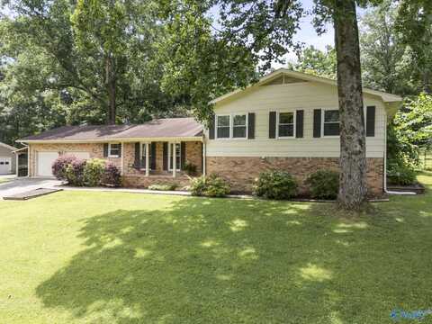 218 Beaver Run Drive, Madison, AL 35758
