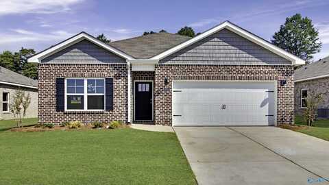 18918 Wicklow Circle, Athens, AL 35613