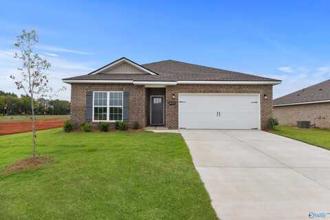 14115 Nursery Drive, Athens, AL 35611