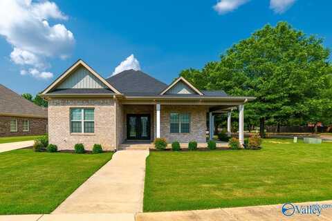 1920 Brayden Drive, Decatur, AL 35603