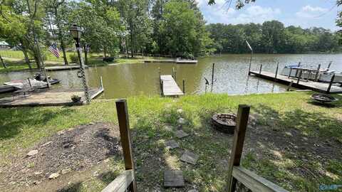 1210 County Road 131, Cedar Bluff, AL 35959