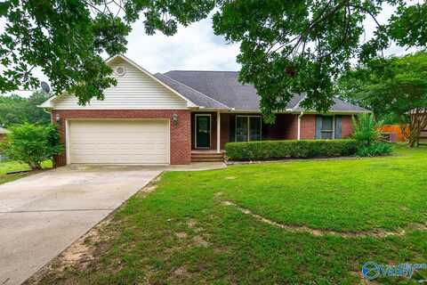 237 Newton Road, Hartselle, AL 35640
