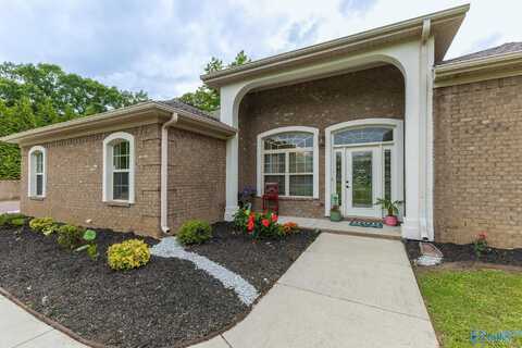 14334 Pulaski Pike, Ardmore, AL 35739