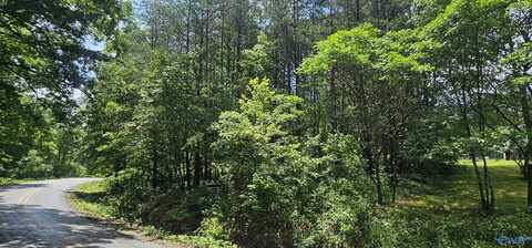 3 +/- Acres County Road 106, Mentone, AL 35984