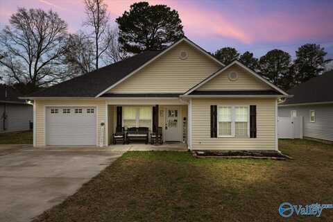 393 Central Avenue, Oneonta, AL 35121