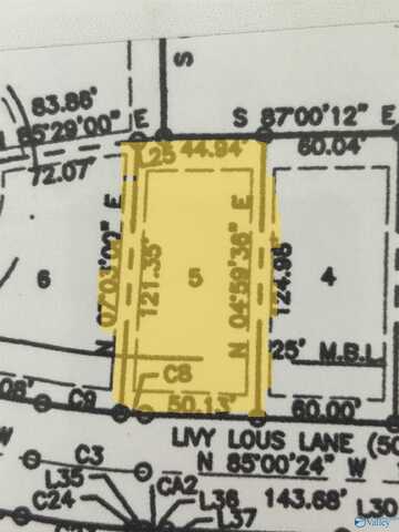 109 Livy Lous Lane, New Market, AL 35761