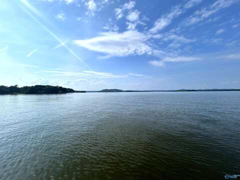 1415 Big Nose Drive, Centre, AL 35960