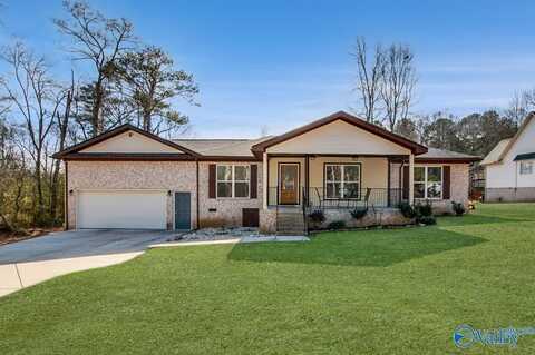 233 Carlin Street, Albertville, AL 35951