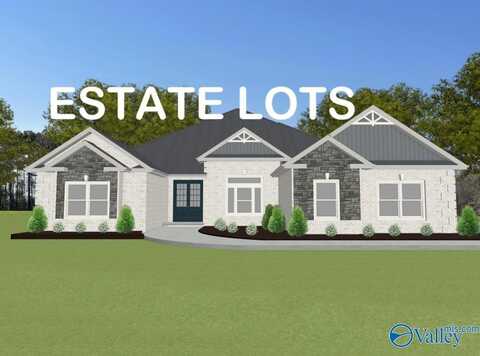 Trenton C Newby Chapel Road, Athens, AL 35613