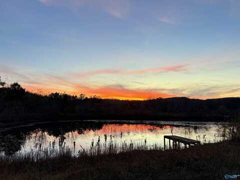 7210 Warrenton Road, Guntersville, AL 35976