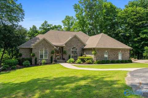 655 Carriger Road, Hazel Green, AL 35750