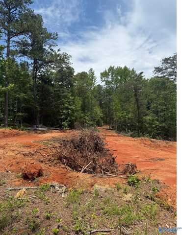 7451 Scenic Highway, Gadsden, AL 35904