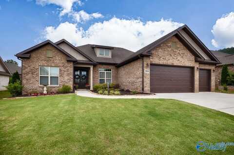 3011 Chimney Cove Circle, Brownsboro, AL 35763