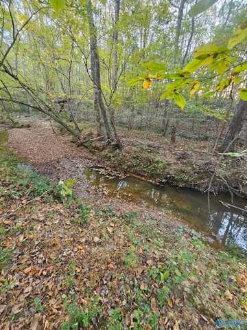 10267 Alabama Highway 101, Town Creek, AL 35672