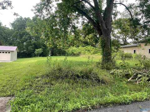 Lot 54' Off W5 NW 3rd Avenue NW, Arab, AL 35016