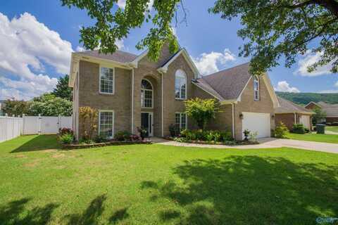 214 Cheval Circle, Brownsboro, AL 35741