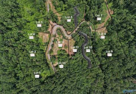Lot 3 Wyeth Drive, Guntersville, AL 35976