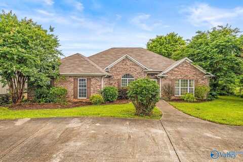 587 Charity Lane, Hazel Green, AL 35750