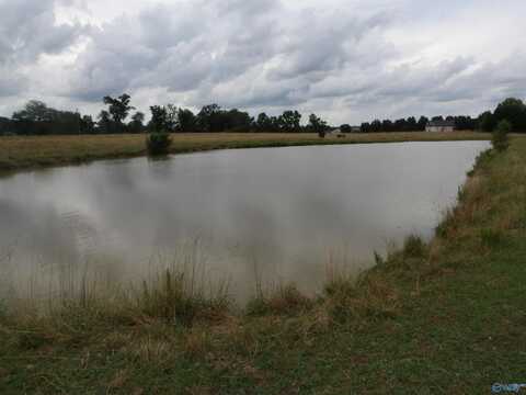 10.1 Mount Vernon Road, Boaz, AL 35957