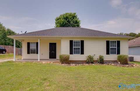 154 Stafford Road, Hazel Green, AL 35750