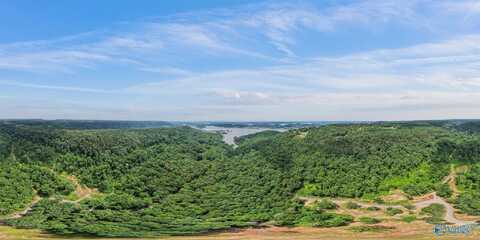 Lot 7 Wyeth Drive, Guntersville, AL 35976