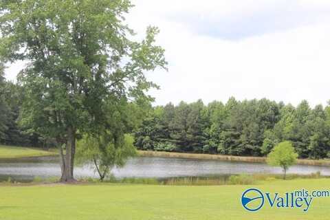 139 County Road 638, Pisgah, AL 35765