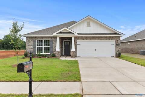 16722 Demi Drive, Athens, AL 35613