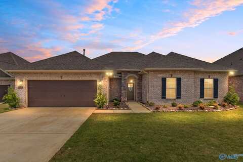 103 Tanner Drake Court, New Market, AL 35763