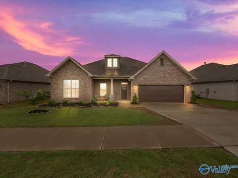 15803 Big Ben Drive NW, Harvest, AL 35749