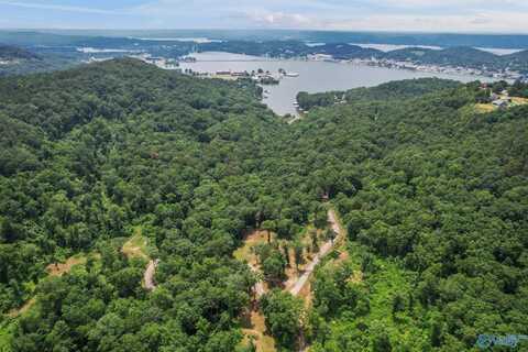 121.46 Acres Wyeth Drive, Guntersville, AL 35976