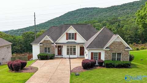 2602 Legacy Preserve Drive, Brownsboro, AL 35741