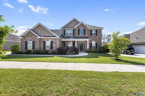 16 Greenbrier Wood, Madison, AL 35756