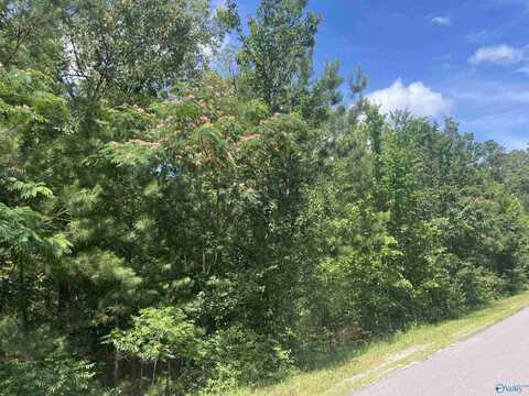 Lot 2 Meadow Creek Road, Glencoe, AL 35905
