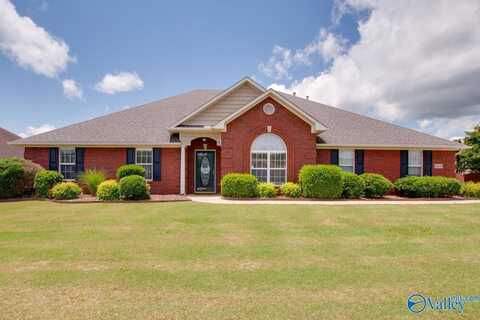 16675 Bellewood Drive, Athens, AL 35613