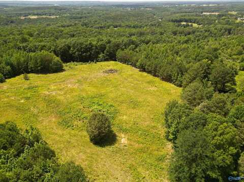 525 Overlook Road, Blountsville, AL 35031