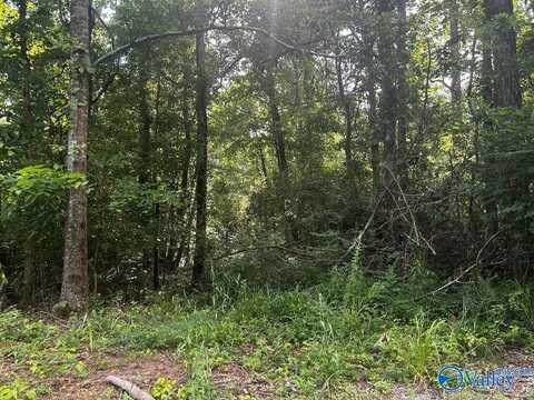 6.7 Leslie Willis Road, Somerville, AL 35670