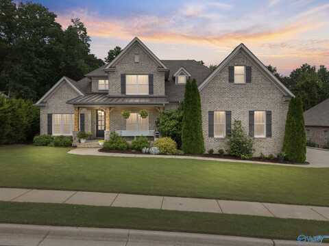 117 Hickory Gap Trail, Madison, AL 35758