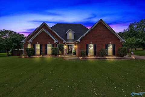 24952 Southern Heritage Lane, Athens, AL 35613