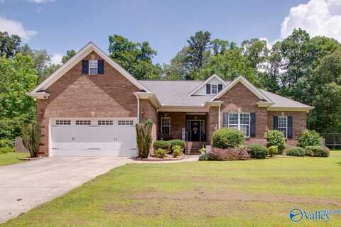 709 Chambers Road, Arab, AL 35016