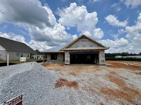 19939 Cherry Brook Road, Athens, AL 35611