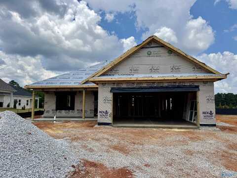 19939 Cherry Brook Road, Athens, AL 35611