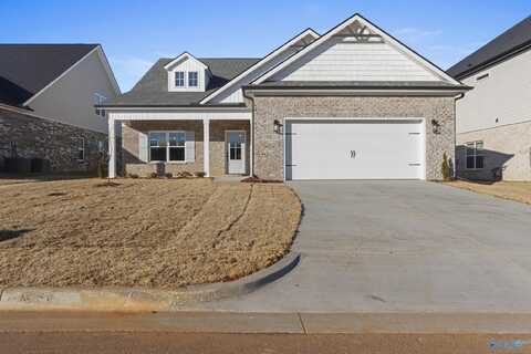 19939 Cherry Brook Road, Athens, AL 35611