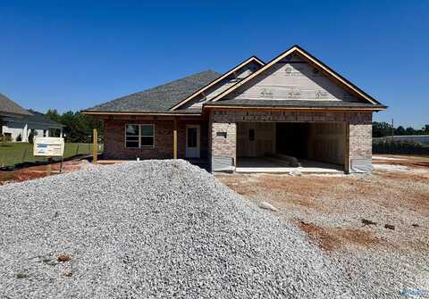 19939 Cherry Brook Road, Athens, AL 35611