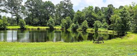 354 County Road 162, Henagar, AL 35978