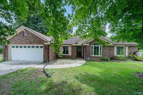 100 Doe Creek Circle, Toney, AL 35773
