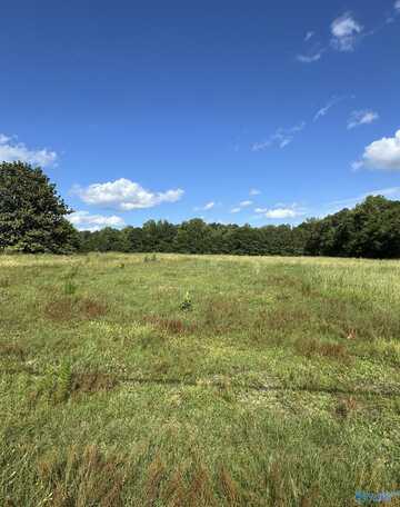 391 Rabbittown Road, Albertville, AL 35950