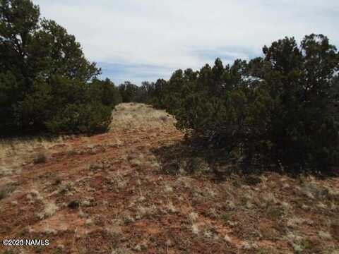 4089 E Oakdale Road, Williams, AZ 86046